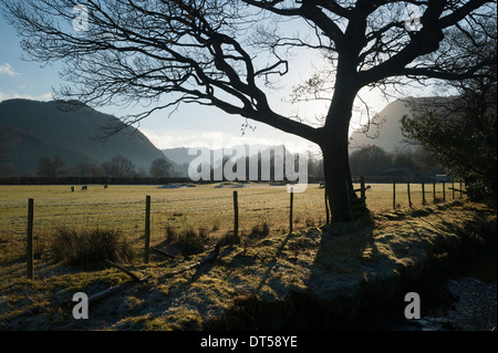 Un luminoso e nitido fredda mattina di Borrowdale, Lake District, Cumbria, Inghilterra Foto Stock