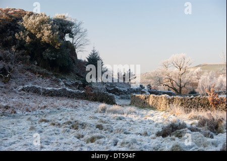 Un gelido inverno scena dalle rive del Ennerdale, Lake District, Inghilterra. Foto Stock