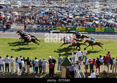 Corse di cavalli a Champs de Mars, Port Louis, Mauritius. Foto Stock