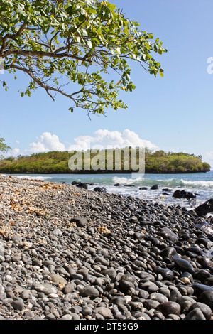 Granelli di tutte le dimensioni di coprire la spiaggia da iles ilot Sancho, è una piccola isola deserta nel distretto di Savannah, Mauritius. Foto Stock