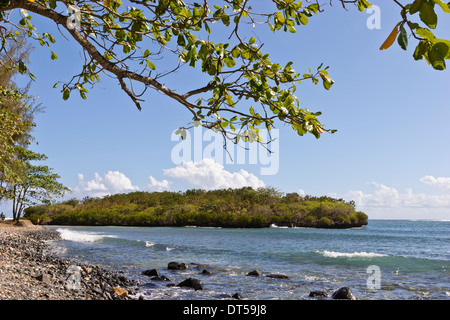 Granelli di tutte le dimensioni di coprire la spiaggia da iles ilot Sancho, è una piccola isola deserta nel distretto di Savannah, Mauritius. Foto Stock