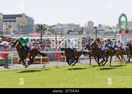 Corse di cavalli a Champs de Mars, Port Louis, Mauritius. Foto Stock