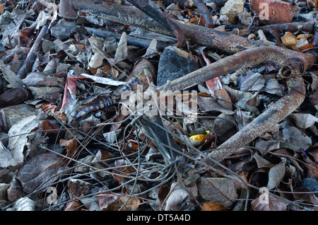 Bruciò resti carbonizzati di un arrugginito in acciaio e alluminio telaio di bicicletta con raggi piegati e catena spezzata probabilmente rubato e bruciato Foto Stock