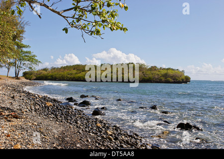 Granelli di tutte le dimensioni di coprire la spiaggia da iles ilot Sancho, è una piccola isola deserta nel distretto di Savannah, Mauritius. Foto Stock