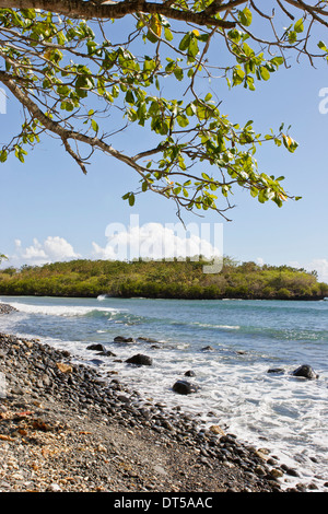 Granelli di tutte le dimensioni di coprire la spiaggia da iles ilot Sancho, è una piccola isola deserta nel distretto di Savannah, Mauritius. Foto Stock