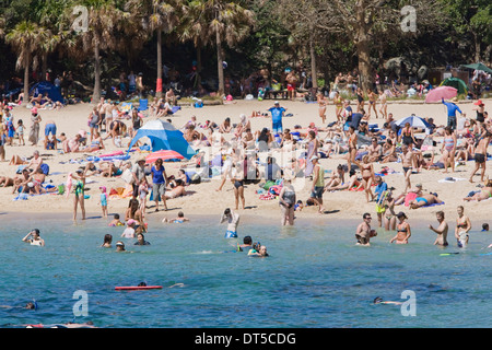 Shelly Beach è situato nei pressi di Manly a nord di Sydney ed è una spiaggia molto popolare con le famiglie, Nuovo Galles del Sud, Australia Foto Stock