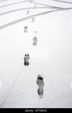 Orme e del pneumatico sulla superficie della neve Foto Stock