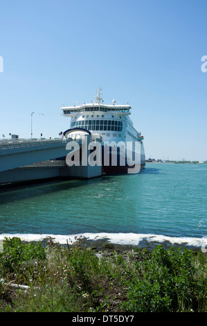 Fermo DFDS Seaways cross channel in attesa del traghetto a Dunkerque Dunkerque Francia Foto Stock