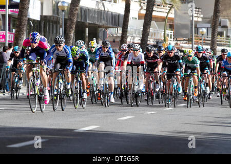 Palma de Mallorca 9 Feb 2014 cycling Race Challenge Mallorca 2014 ciclisti al Paseo Marittimo Palma de Mallorca © CFimages/A Foto Stock