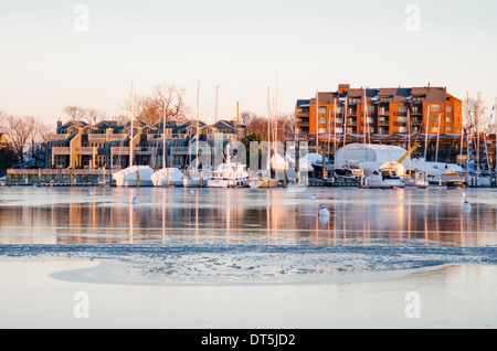 Il lungomare in Annapolis, congelati durante il 2014 vortice polare Foto Stock