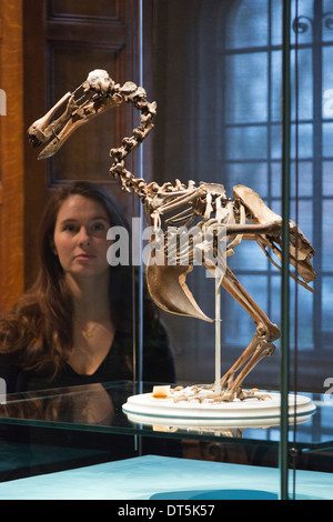 Mostra 'Discoveries - Arte, Scienza & Esplorazione' dall'Università di Cambridge Musei, due Temple Place, Londra Foto Stock