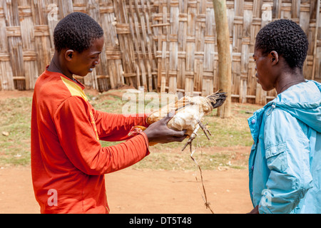 Un ragazzo la vendita di un pollo al giovedì mercato del bestiame nel villaggio di Dorze di Hayto, vicino Arba Minch, Etiopia Foto Stock