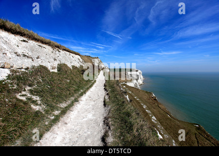 Le Bianche Scogliere di Dover; Kent County; Inghilterra; Regno Unito Foto Stock