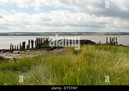 Resti di un pontile in legno sul fiume Tamigi vicino Coalhouse Fort, Tilbury, Essex, Regno Unito Foto Stock