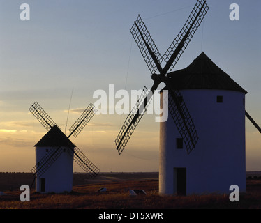 Spagna. Castilla la Mancha. Mota Del Cuervo. Mulini. Foto Stock