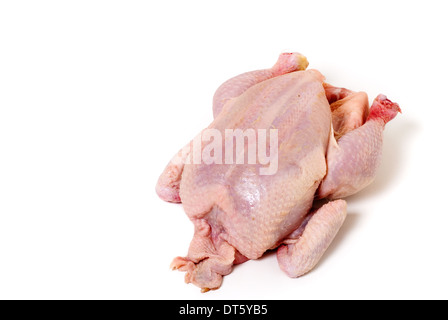 Materie di pollo intero su sfondo bianco tagliato fuori. Foto Stock