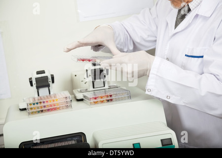 Scienziato esaminando micropiastra In Lab Foto Stock