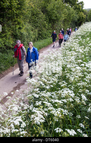 Walkers sul modo Winchcombe, Cotswolds, REGNO UNITO Foto Stock