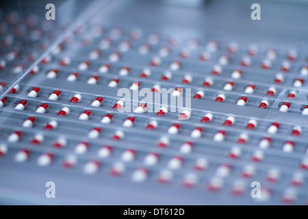 Capsule in un processo di imballaggio Foto Stock