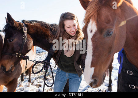 Giovane donna con i cavalli nel campo invernale Foto Stock