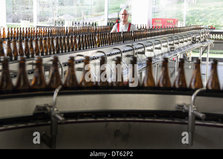 Bottiglie di birra sulla linea di produzione in fabbrica di birra Foto Stock