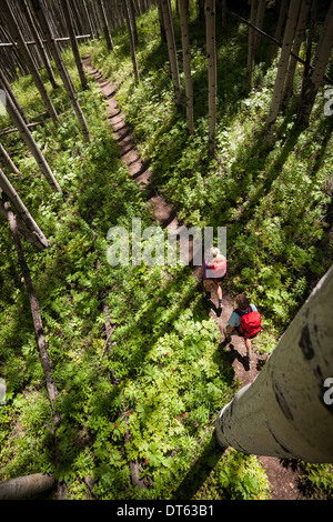 Escursionismo coppia nella foresta, Beaver Ponds trail nel West Elk Mountains, Crested Butte, Colorado, STATI UNITI D'AMERICA Foto Stock