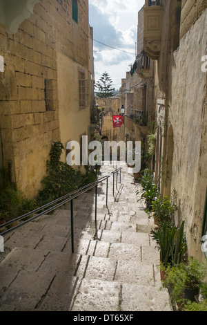 La scala di tipica stretta strada collinare, Vittoriosa, Malta Foto Stock