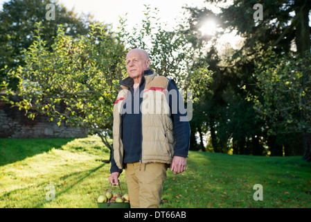 Senior uomo che porta la benna di mele Foto Stock