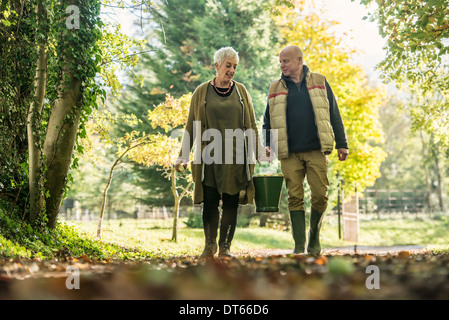 Coppia senior con benna di mele in Orchard Foto Stock