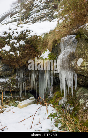 Ghiaccioli su Blackingstone Rock, Dartmoor, Devon, Regno Unito Foto Stock
