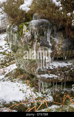 Ghiaccioli su Blackingstone Rock, Dartmoor, Devon, Regno Unito Foto Stock