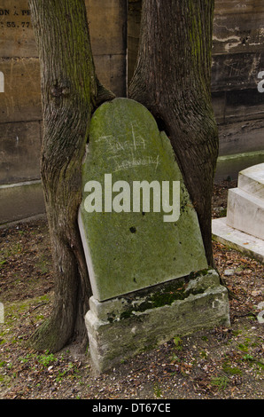 Tronco di albero cresciuto intorno lapide a Pere Lachaise, il più grande cimitero di Parigi, Francia. Foto Stock