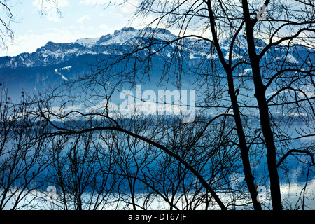 Alpi bavaresi ( Kampenwand ) visto attraverso i rami degli alberi da Herrenchiemsee, Chiemsee, Alta Baviera, Germania, Europa Foto Stock