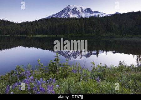 Il Monte Rainier, nevato picco in Washington, Stati Uniti d'America Foto Stock