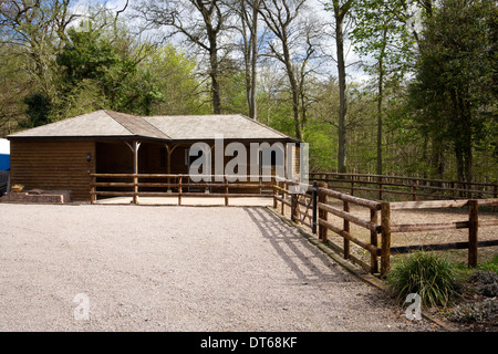 UK real estate. Piccolo stabile in legno blocco. Foto Stock