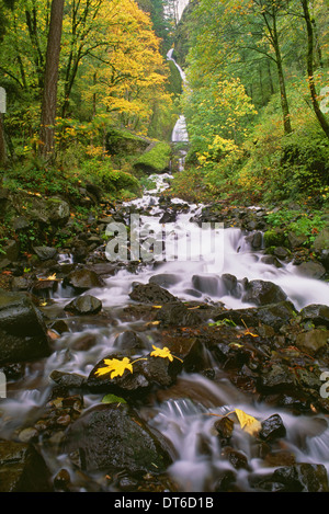 Wahkeena Falls. L'acqua che scorre verso il basso una valle del Columbia River Gorge attraverso boschi. Foto Stock