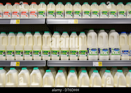 Bottiglie di latte esposte per la vendita su un supermercato britannico ripiano Foto Stock