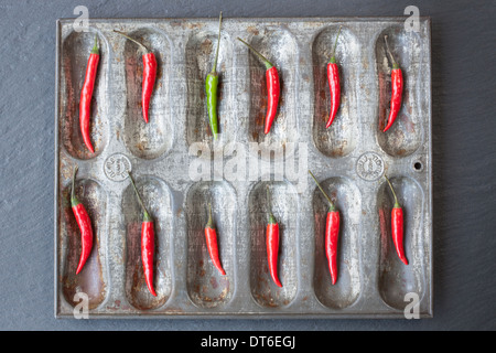 Grande gruppo di peperoncino rosso e uno verde chili ordinati in una teglia da forno Foto Stock