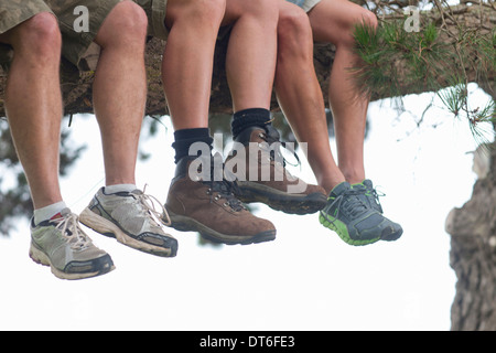 Gambe di tre escursionisti maschile seduto sul ramo di albero Foto Stock