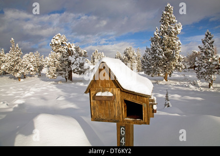 Una cassetta postale rurale lungo una strada di campagna dopo una tempesta di neve nel centro di Oregon Foto Stock