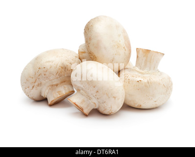 Pila di funghi Champignon isolato su uno sfondo bianco. Foto Stock