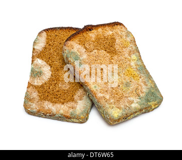 Due fette di ammuffito pane di segale isolati su sfondo bianco Foto Stock