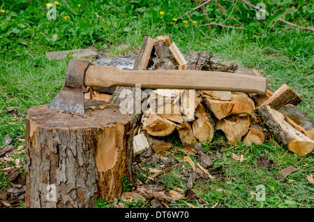 Vecchio ax nel moncone e legna da ardere sull'erba Foto Stock