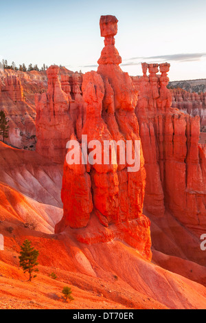 Il Thor del martello e altri hoodoos nel Bryce anfiteatro, parco nazionale di Bryce, Utah. Foto Stock