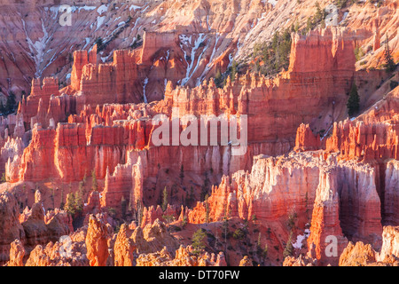 La cattedrale e le hoodoos nel Bryce anfiteatro presso sunrise, Parco Nazionale di Bryce Canyon, Utah. Foto Stock