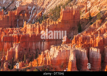 La cattedrale e le hoodoos nel Bryce anfiteatro presso sunrise, il Parco Nazionale di Bryce, Utah. Foto Stock