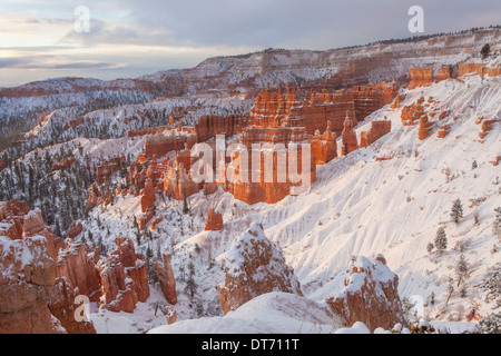 Anfiteatro di Bryce dopo una tempesta di neve, Parco Nazionale di Bryce Canyon, Utah. Foto Stock