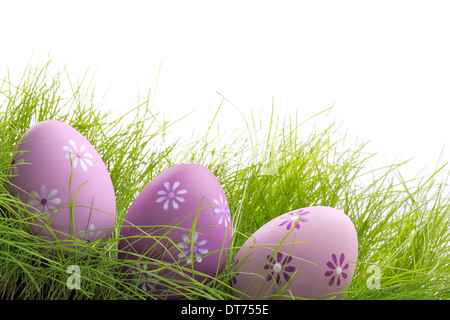 Uova di Pasqua in fresco di erba verde Foto Stock