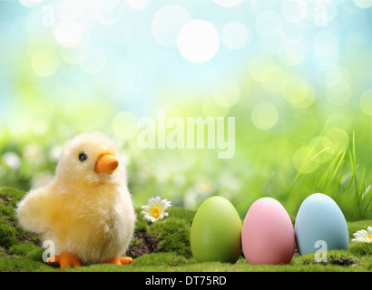 Giallo pulcino di Pasqua e uova di Pasqua in un campo Foto Stock