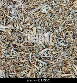 In prossimità di corteccia da trucioli di legno usato per il paesaggio, vicino a Quincy Foto Stock